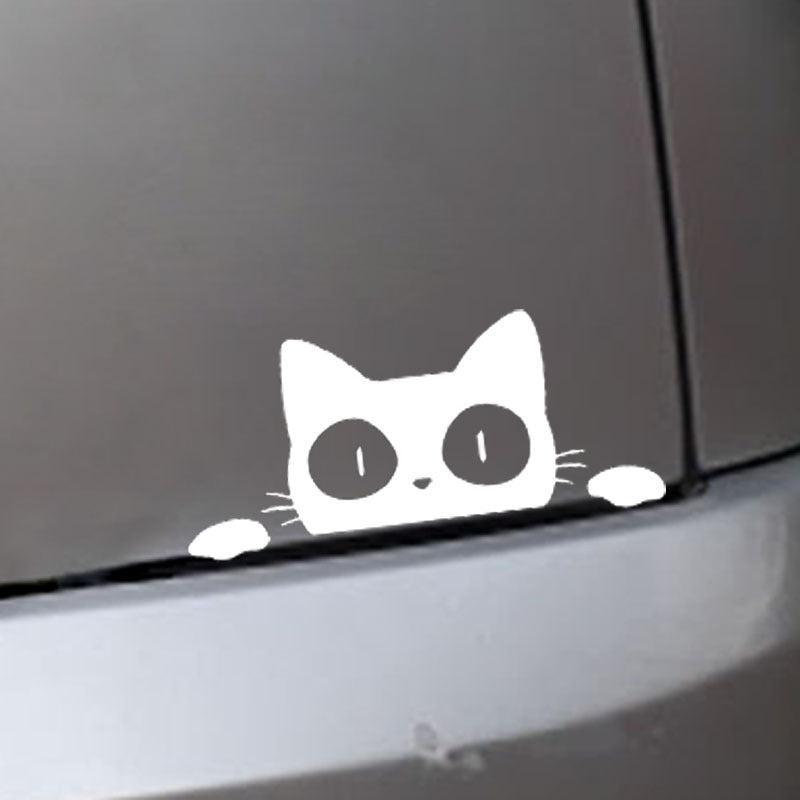 Foreign trade car sticker voyeur cat